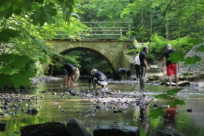 FLOW startet in die neue Saison