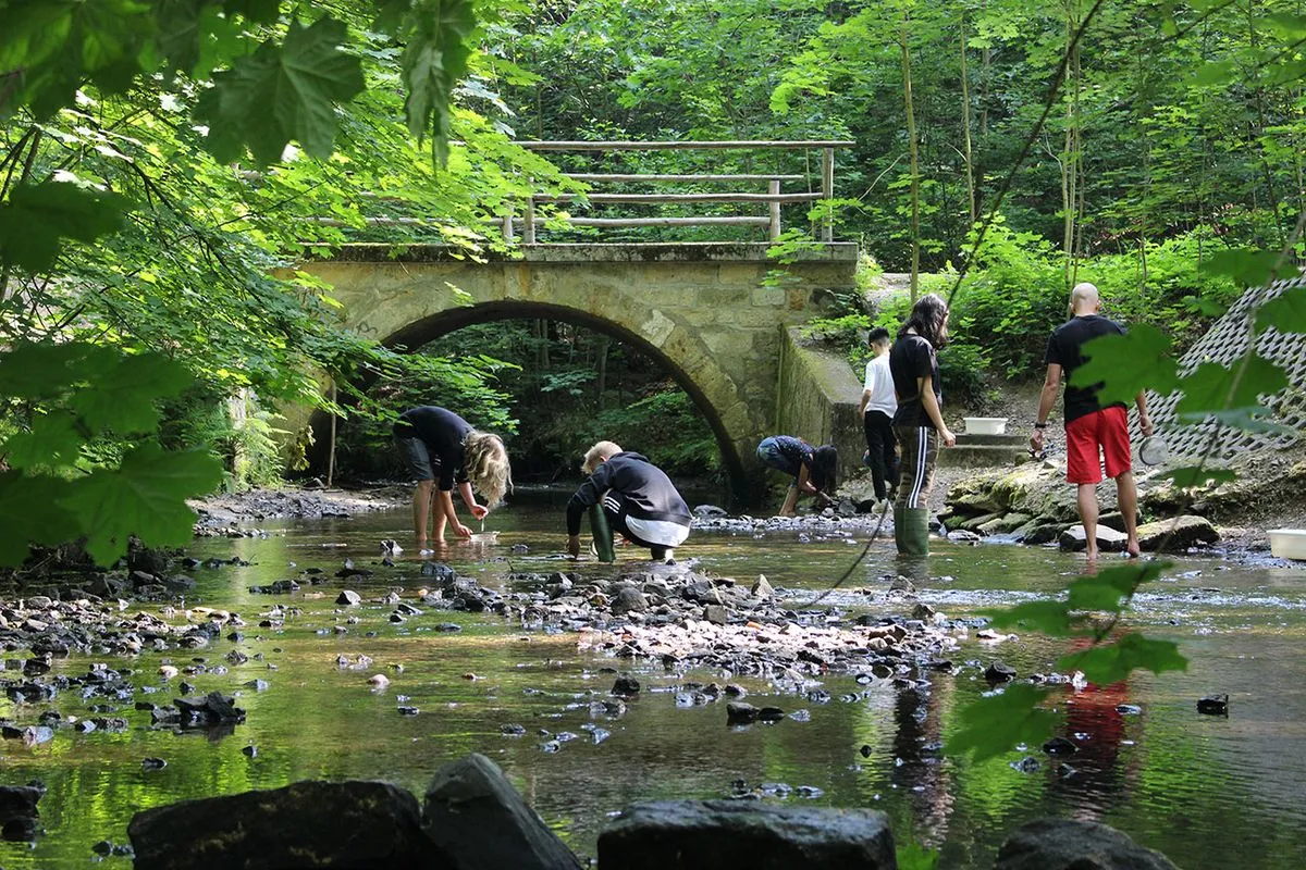 FLOW startet in die neue Saison