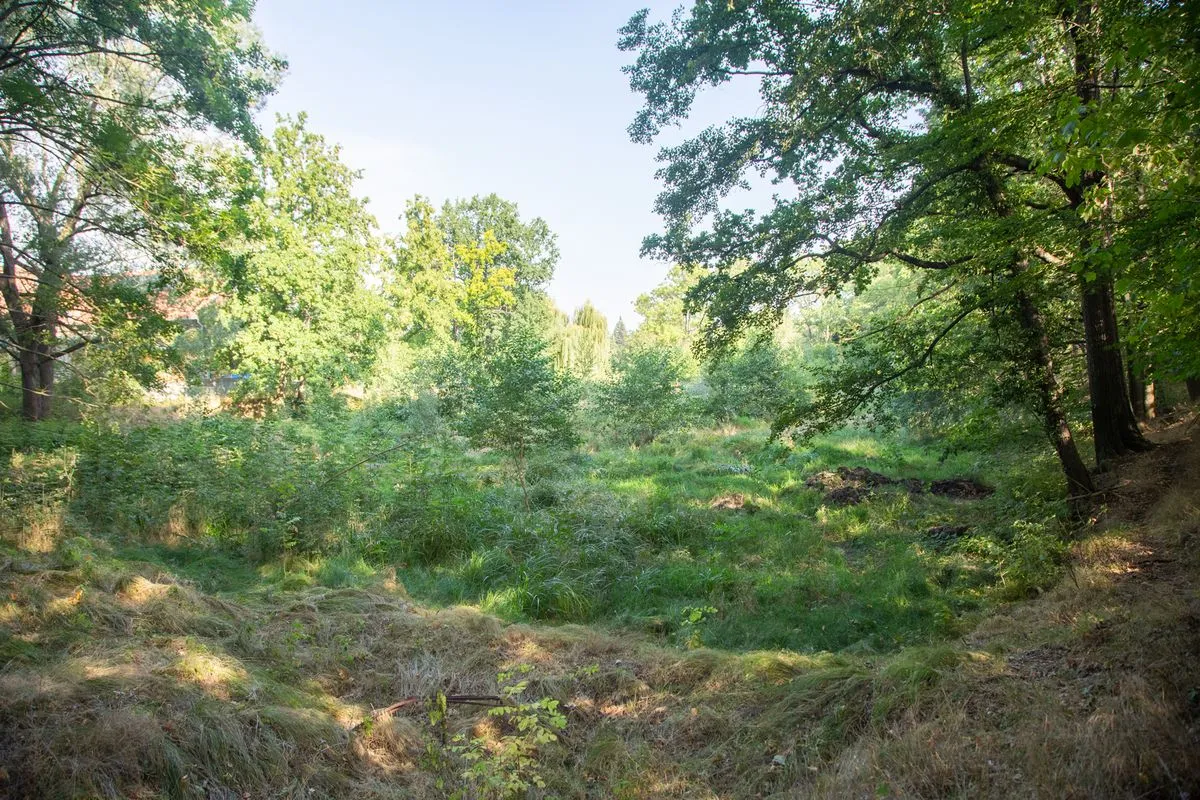 Sanierung der Teichanlage Prietitz