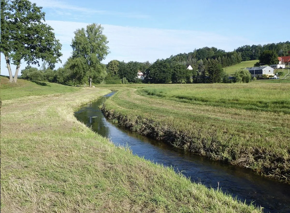 Stellungnahme zur EU-Biodiversitätsstrategie 2030