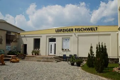 Abtauchen in die Welt der Fische