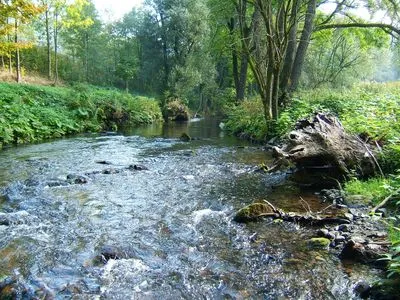 Bachpatenschaft Sebnitz