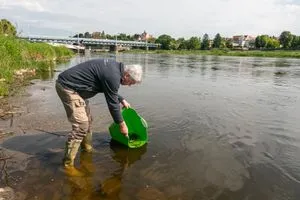 Besatz in Meißen