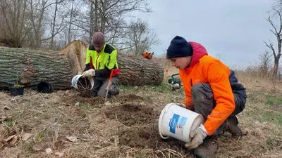 Freiwilliges ökologisches Jahr